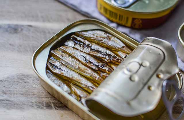 sardines in can